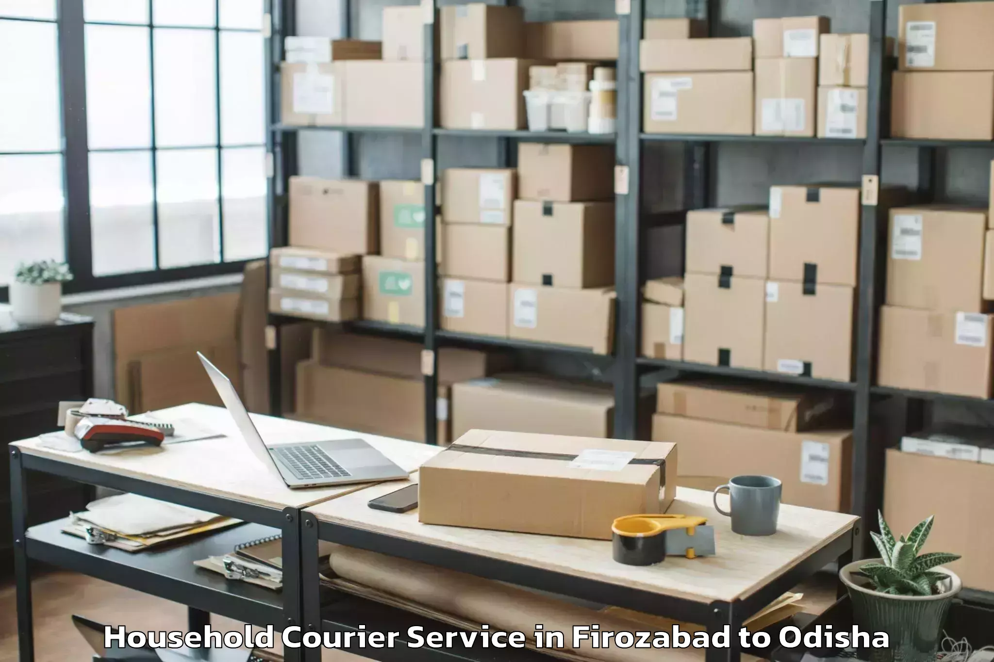 Trusted Firozabad to Badampahar Household Courier